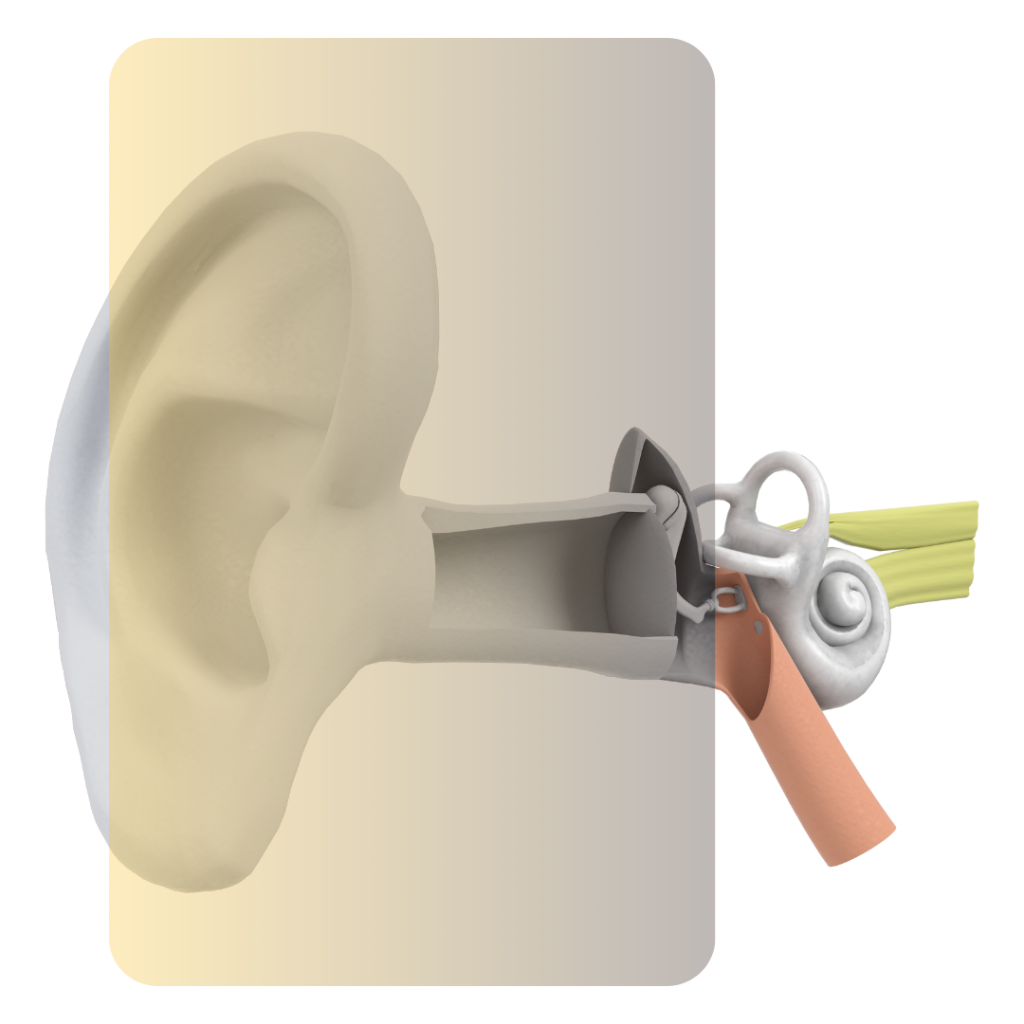 hearing-loss-house-of-hearing-malaysia